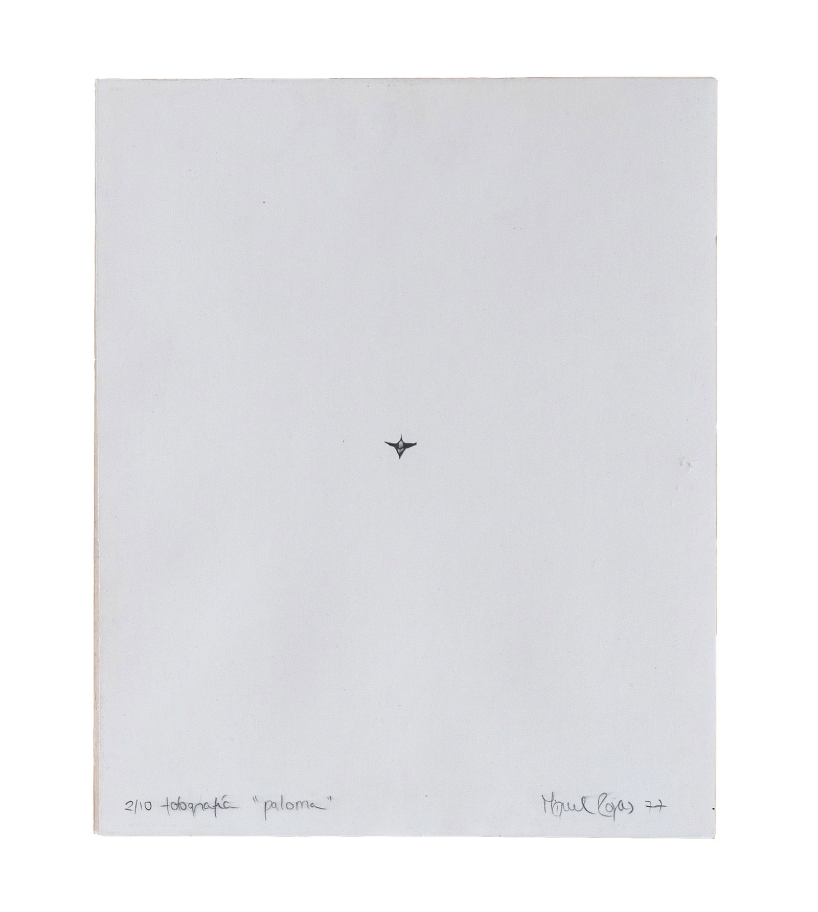 MIGUEL ANGEL ROJAS (1949, Colombia) (1 of 1)