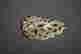 item-128876847=4