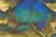 item-131602475=7
