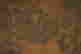 item-131602477=10