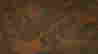 item-131602477=6