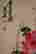 item-134380936=9