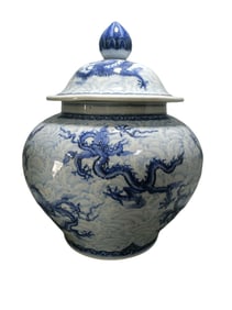 Blue and white porcelain jar with nine dragons and freshwater wave pattern