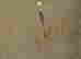 item-129748172=5