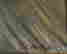item-129748281=6
