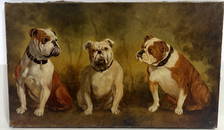 Amazing Rare Antique English Bulldog Animal Portrait Dog Oil Painting