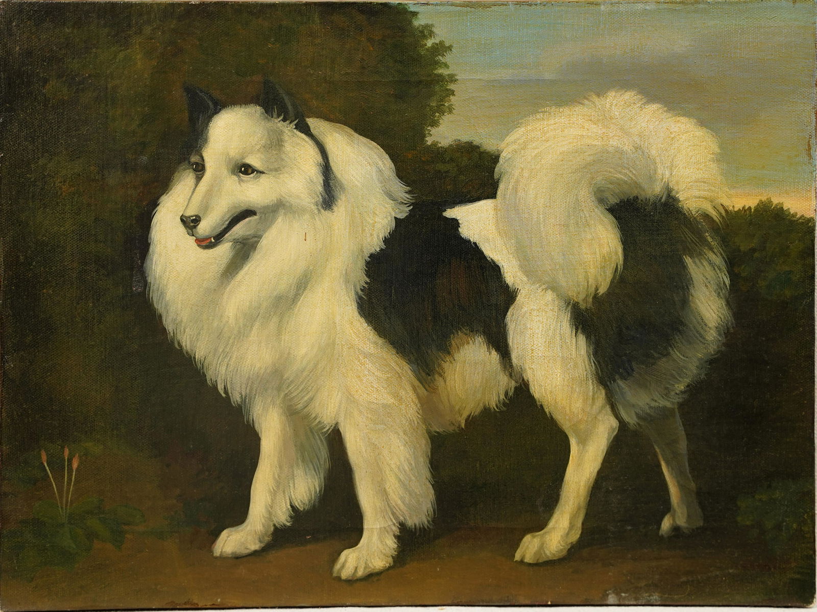 Antique American School Dog In Landscape Impressionist Original Oil Painting (1 of 4)