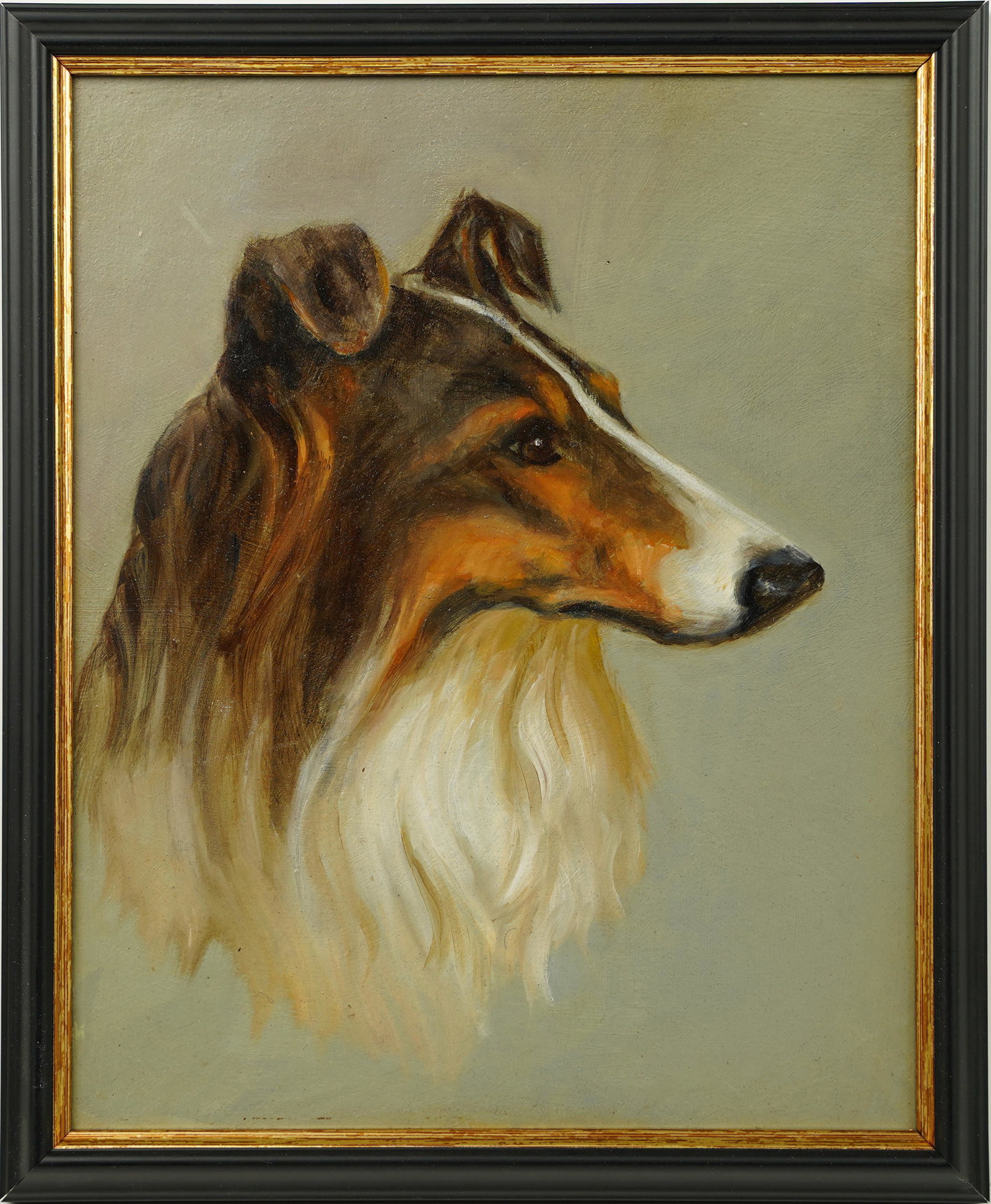 Antique American School Collie Dog Portrait Animal Framed Oil Painting: Oil on canvas, lain to board. Framed. Image size, 8L x 10H.