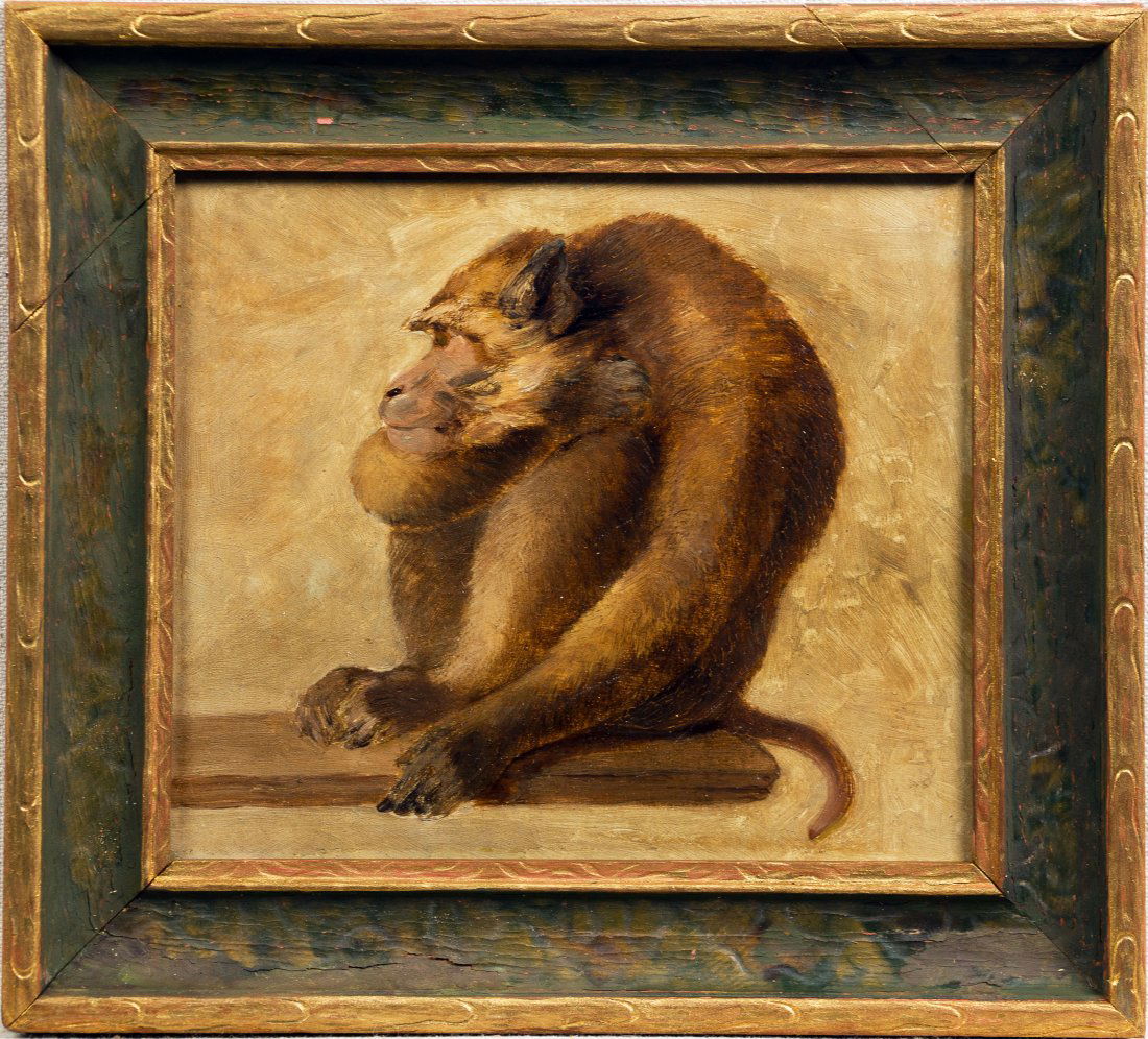 Antique American School Masterpiece Monkey Portrait 19th Century Framed Oil Painting (1 of 7)