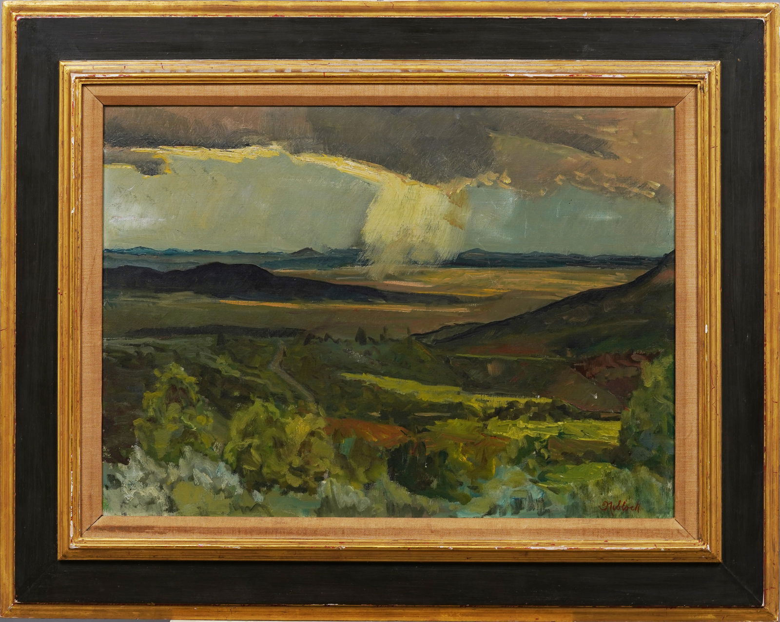 Antique American Impressionist Rain Storm Mountain Valley Tropical Landscape Original Oil Painting (1 of 8)