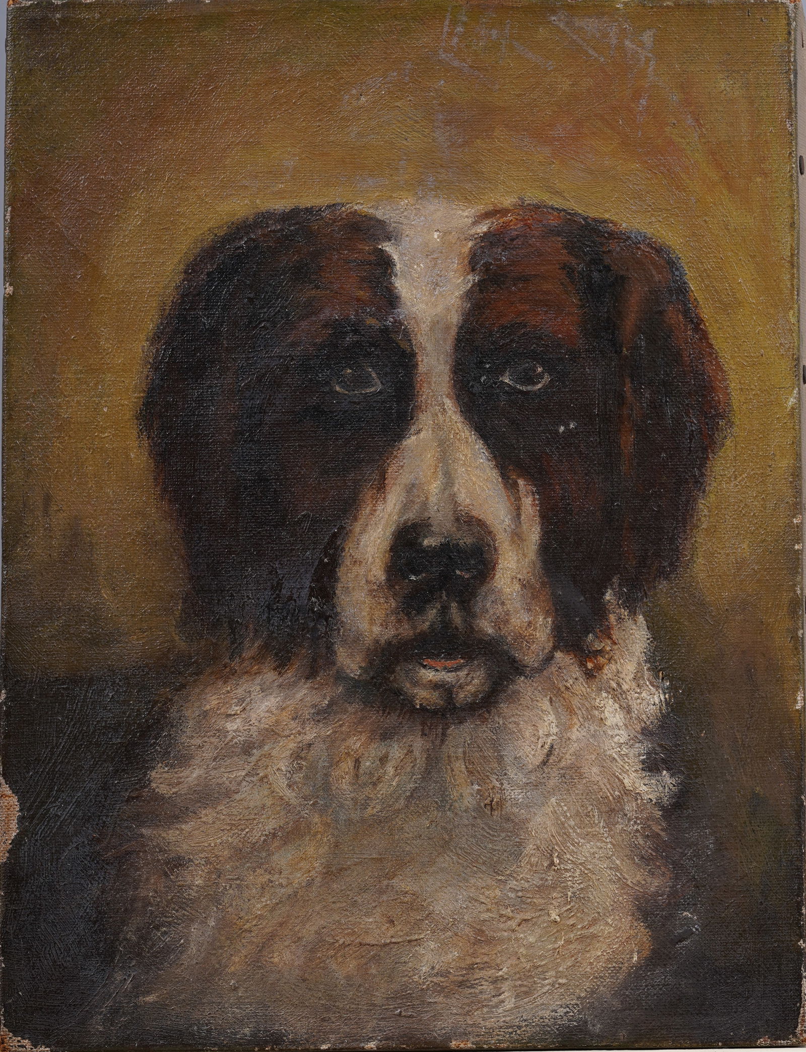 Antique American Folk Art St. Bernard Dog Portrait Painting (1 of 4)