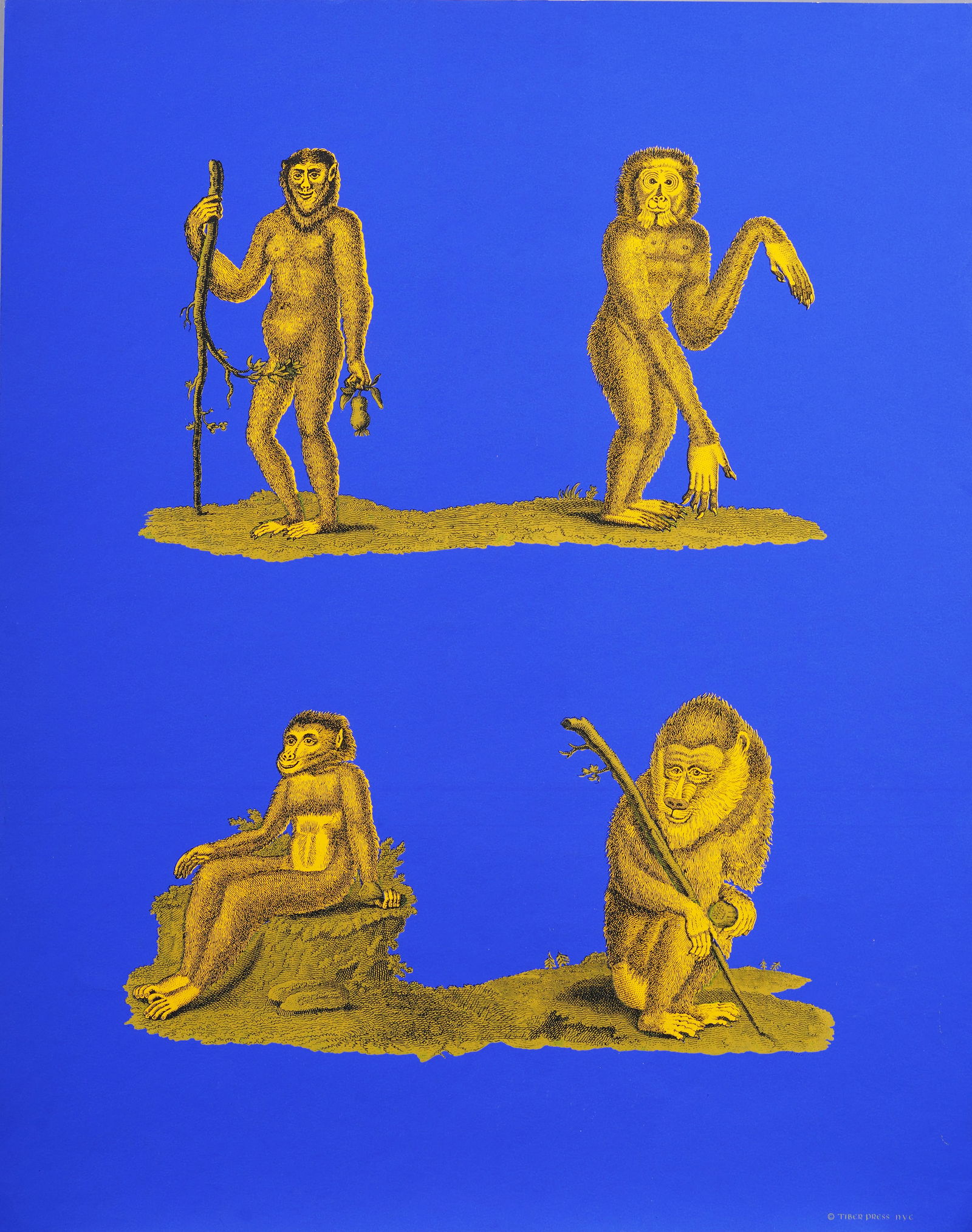 Tiber Press American Pop Art Vintage Lithograph Monkey Portrait Rare Original Print (1 of 4)