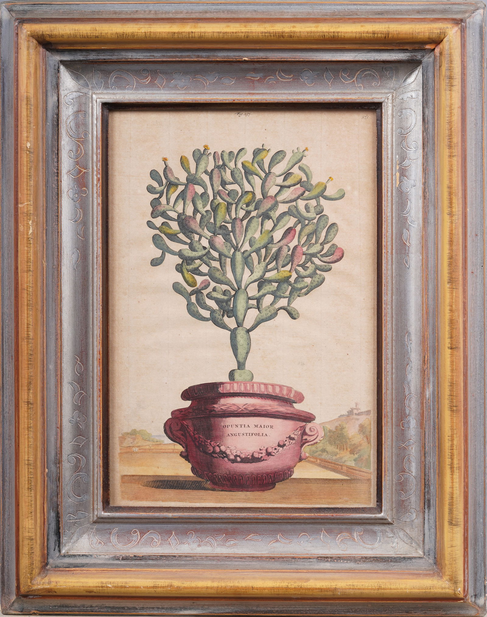 Antique Original Abraham Munting Framed Hand Colored Botanical Print (1 of 4)