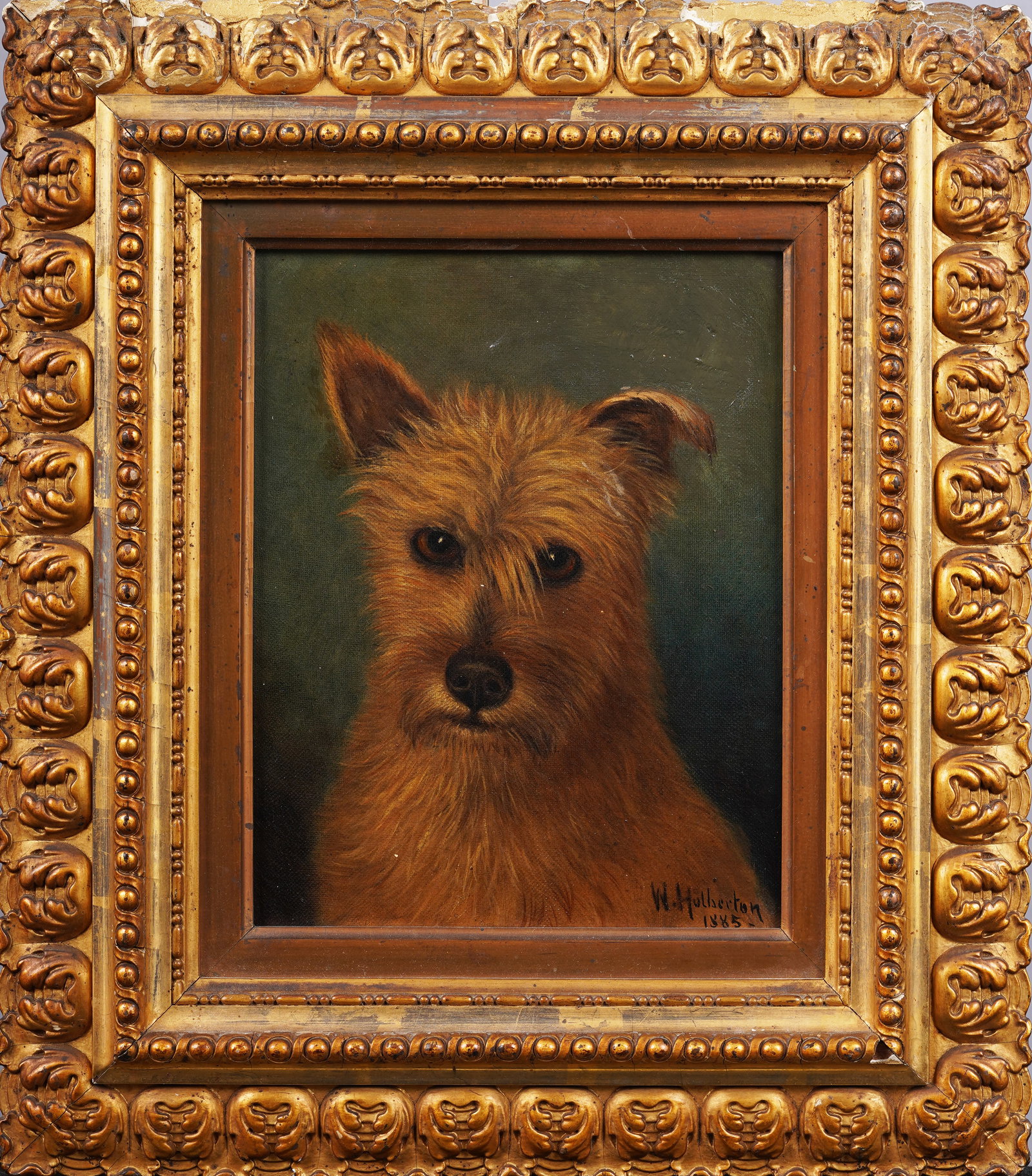 Antique American 19th Century Dog Portrait Signed Framed Well Painted Original Oil Painting (1 of 6)