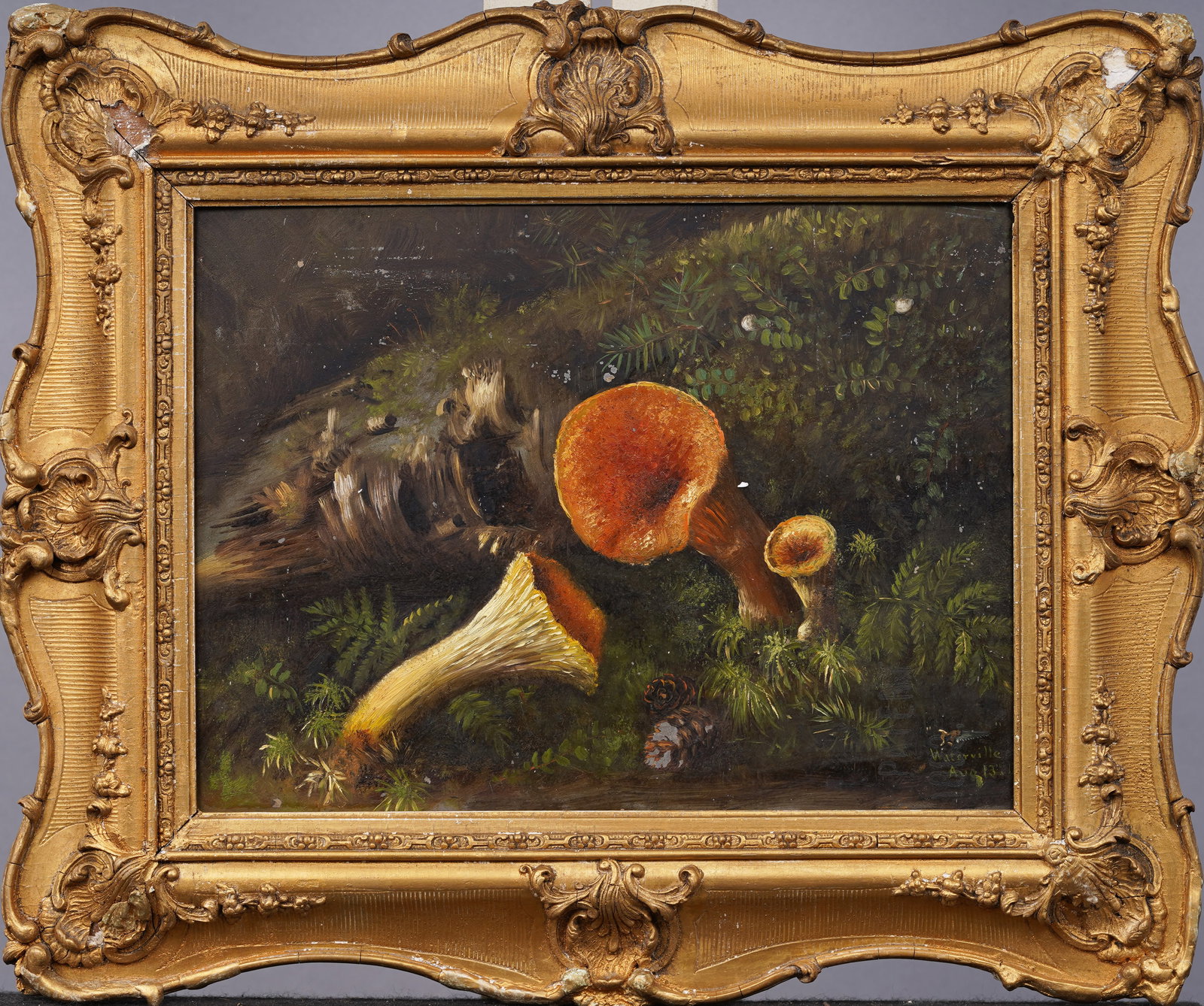 Antique American 19th Century Rare Wild Mushroom Still Life Landscape Framed Original Oil Painting (1 of 6)