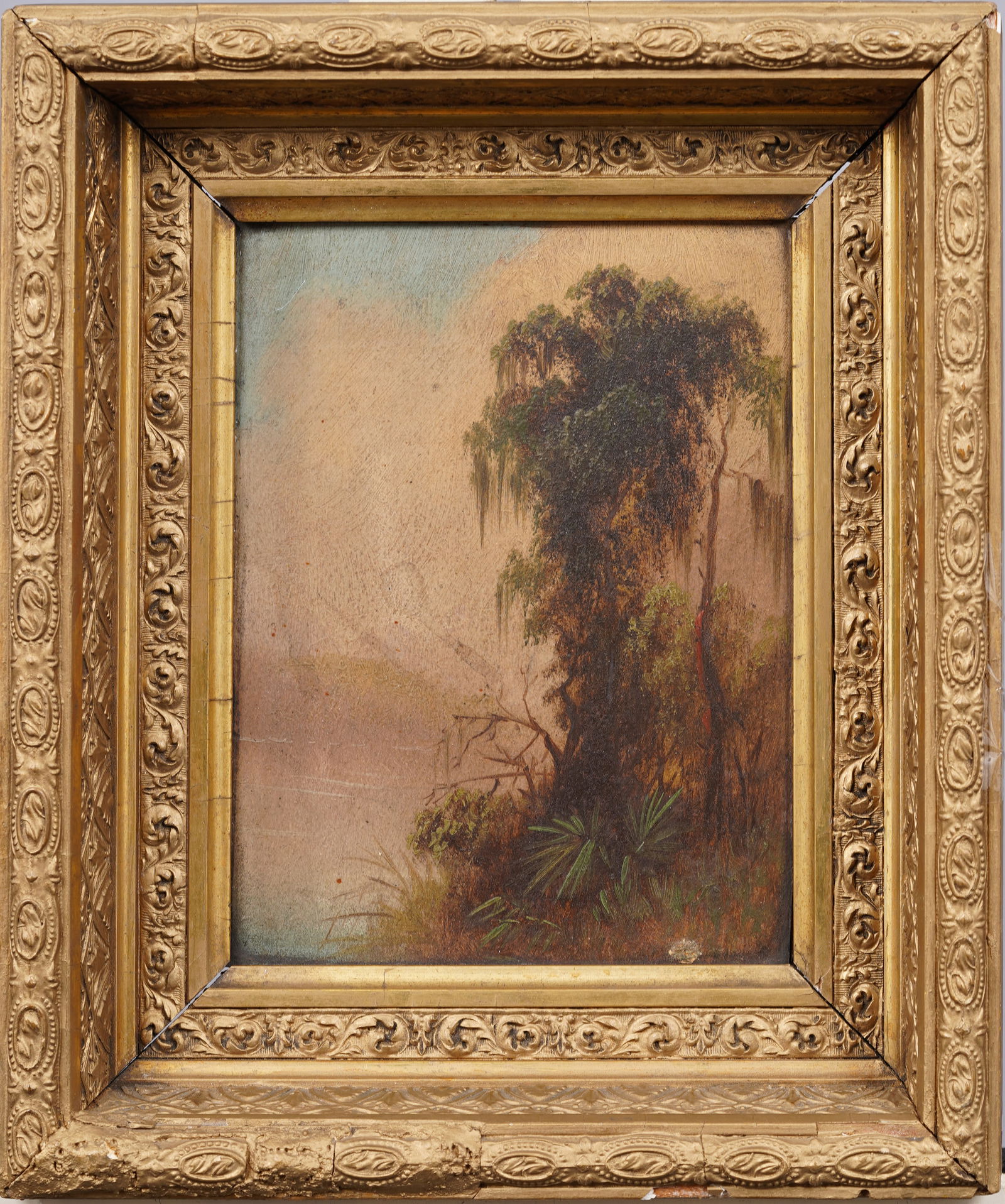 Antique American Hudson River School Southern Scene Spanish Moss Framed 19th C Oil Painting (1 of 4)
