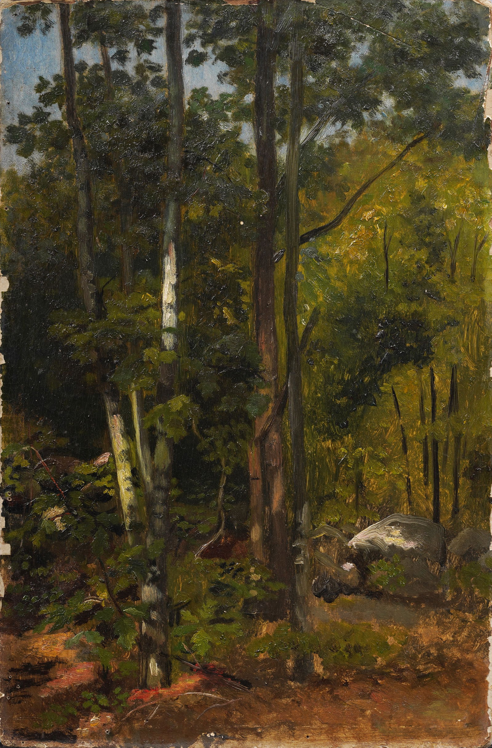 Exhibited Antique American Hudson River School Forest Interior Sketch Original Oil Painting (1 of 4)