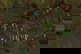 item-208384886=6