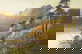 item-208384887=4