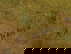 item-208384920=5