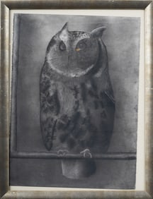 Vintage Large American Modernist Owl Portrait Bird Painting Framed Original Print