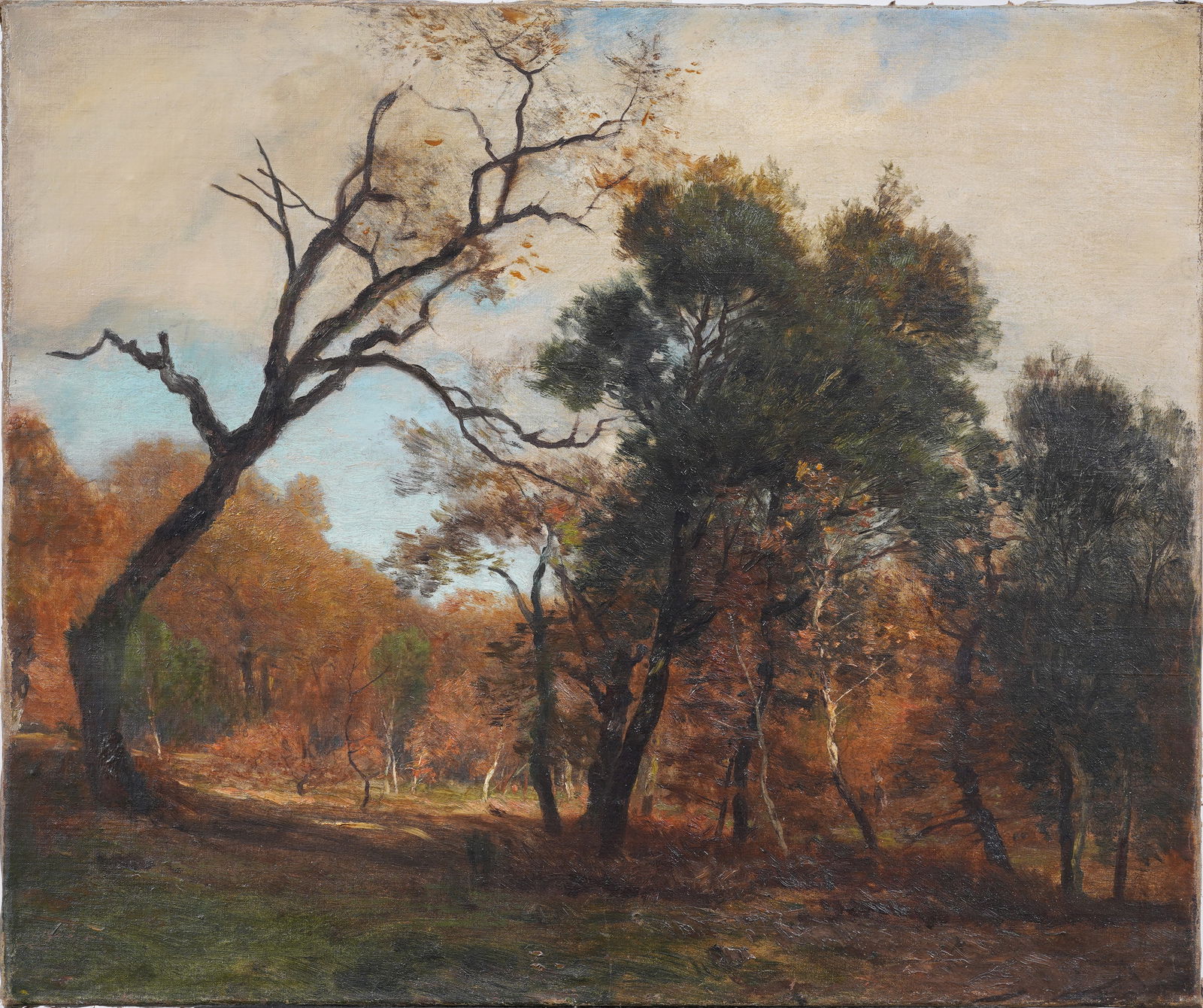 Antique French Barbizon School Sunlit Landscape Original Oil Painting (1 of 5)