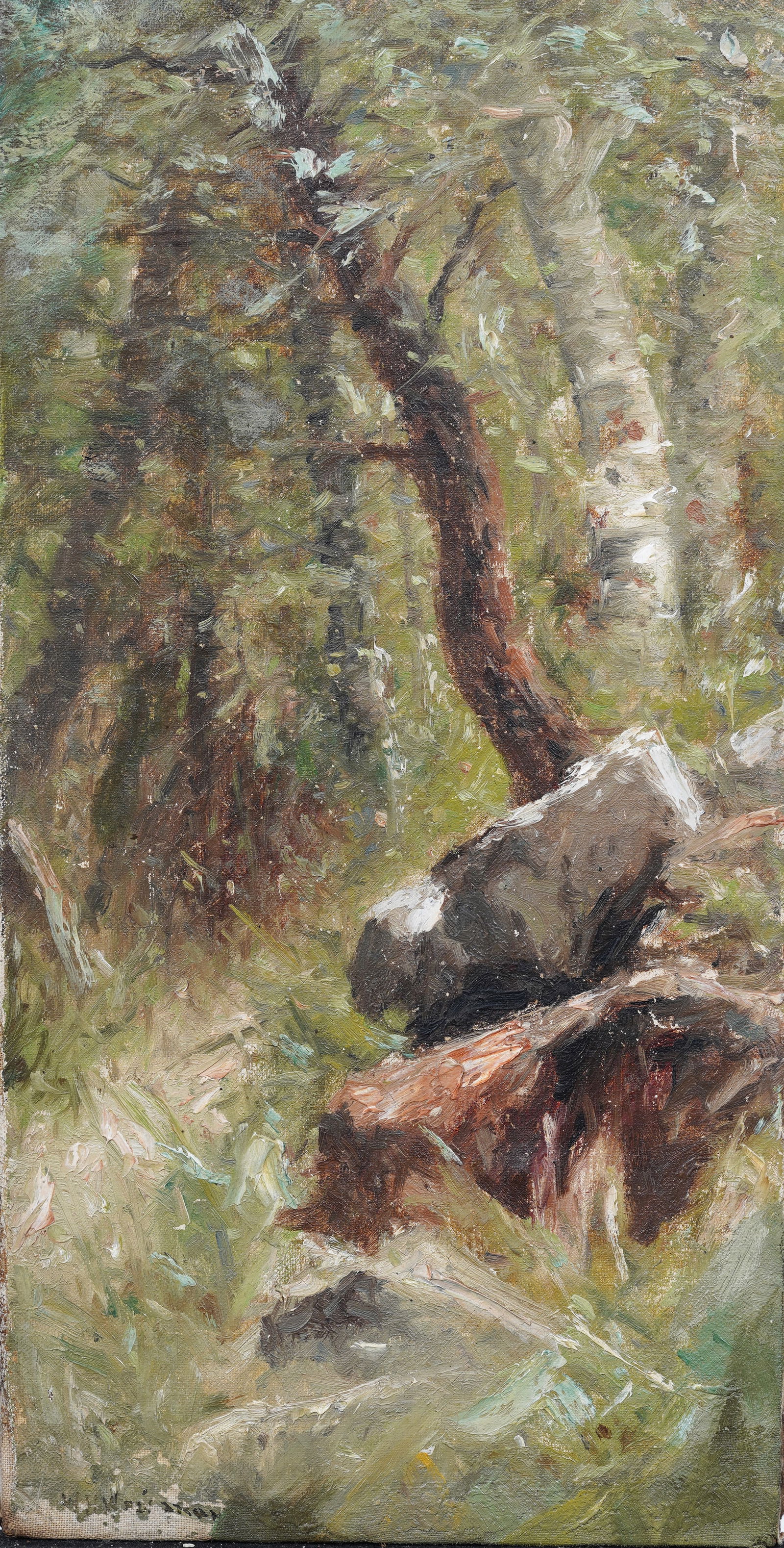 William H. Weisman (1840 - 1922) Antique American Hudson River School Birch Tree Oil Painting (1 of 5)