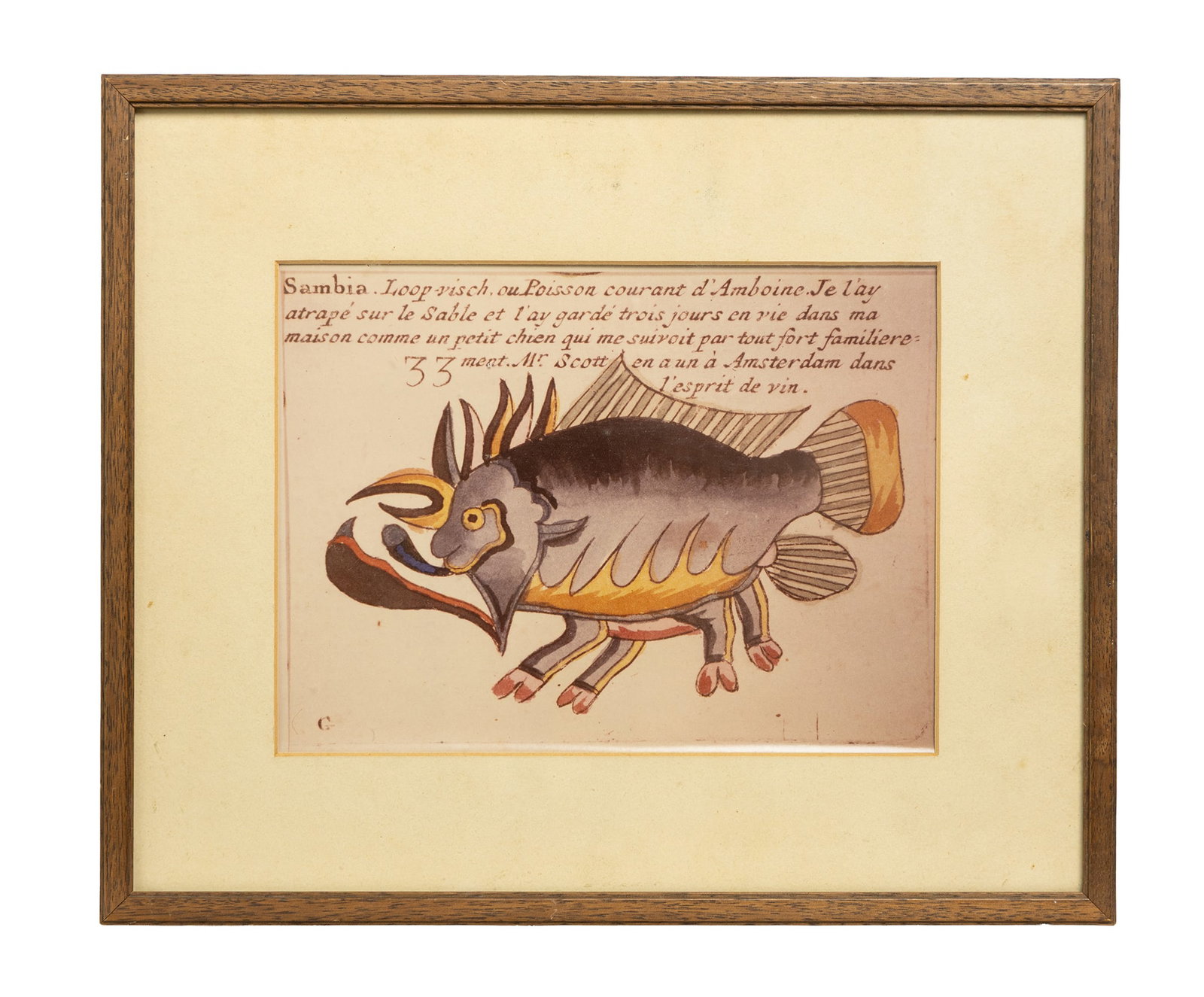 Framed Antique French Illustration of a Fantastical Fish with Handwritten Text: This charming antique illustration features a whimsical, hybrid-style fish rendered in warm washes of brown, gold, and gray, giving it an almost mythical presence. Above the image is handwritten Frenc