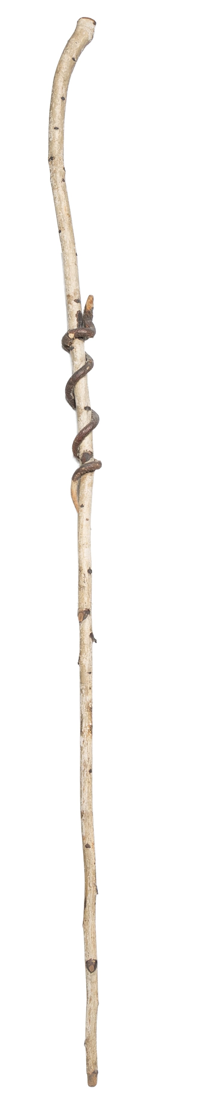 Primitive Folk Snake-Wrapped Walking Stick Made From Natural Branch (1 of 6)