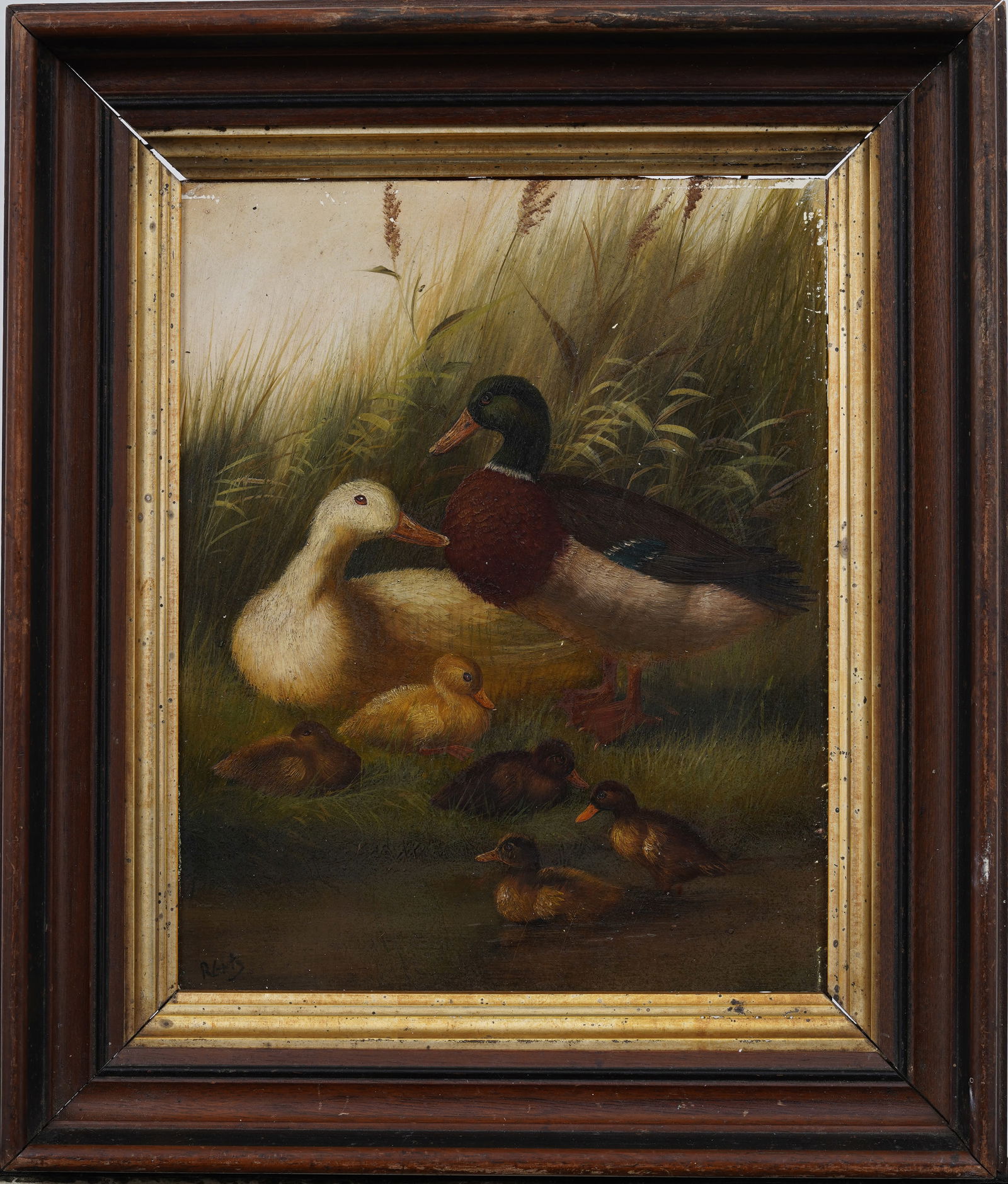 Vintage American School Framed Duck Family Portrait Signed Landscape Oil Painting (1 of 6)