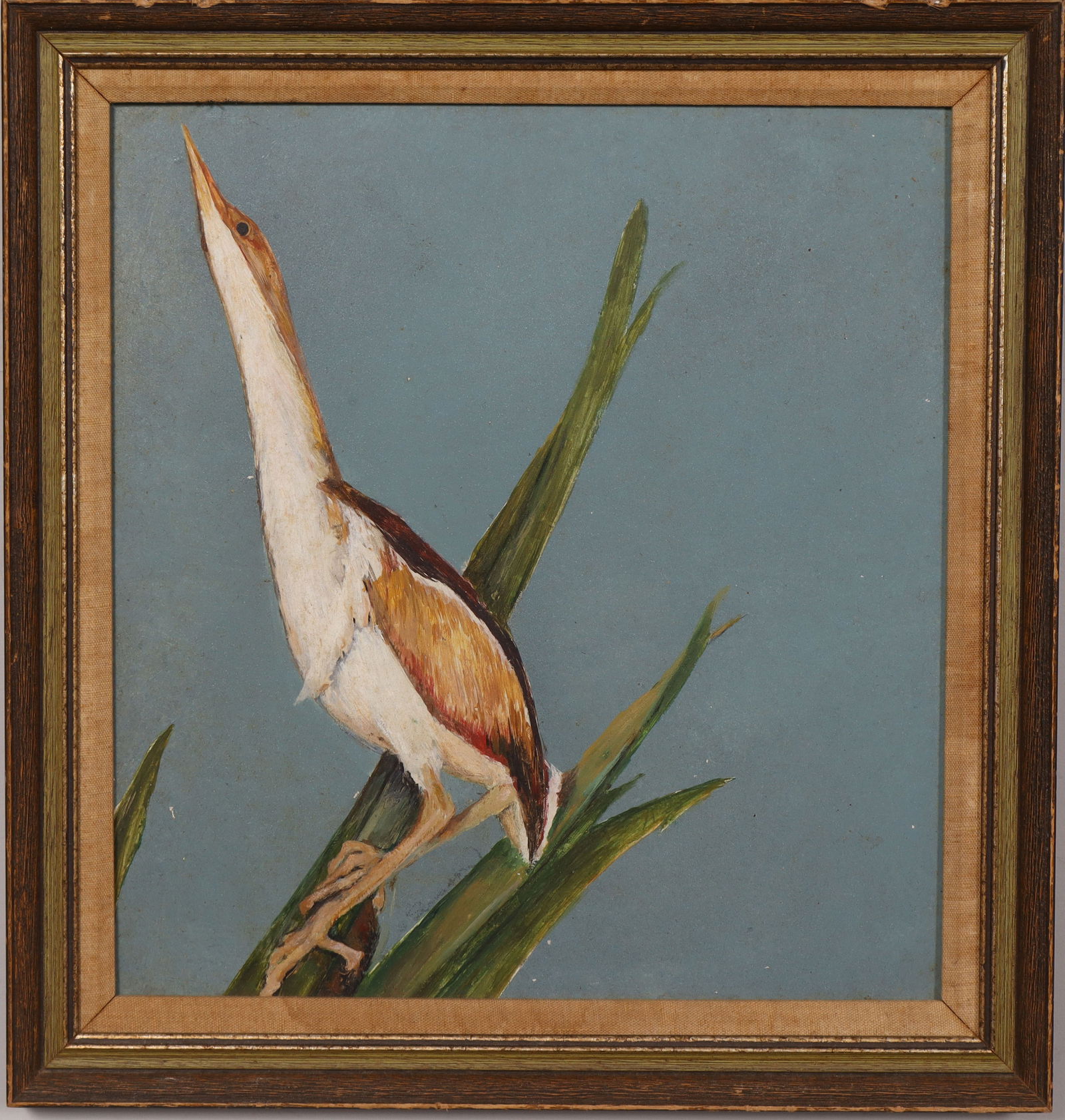 Antique American Realist Framed Bird Portrait Original Oil Painting: Antique American bird portrait oil painting. Oil on board. Framed. Measuring: 17 by 16 inches overall, and 15 by 14 painting alone. Please see all images for condition. Size is measured and