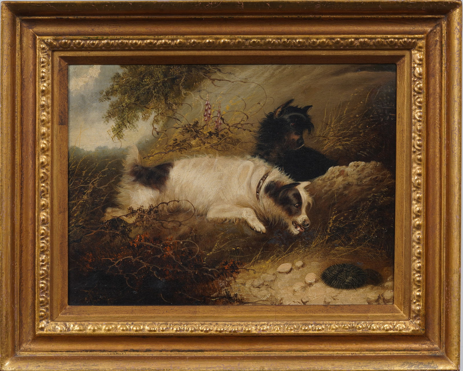 George Armfield School of Sporting Dogs Signed Original Framed Hunting Terrier Oil Painting (1 of 7)