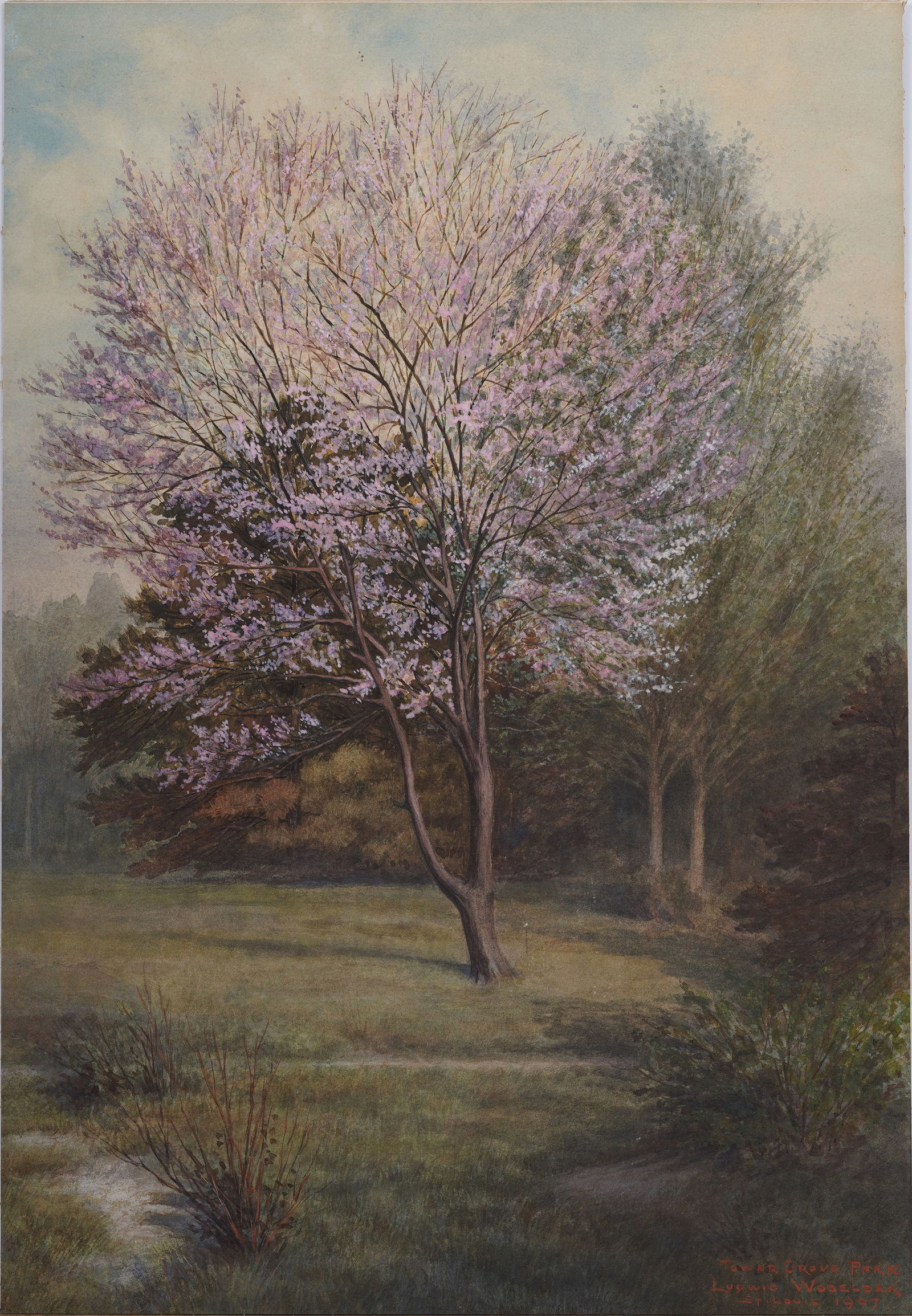 "Tower Grove Park, Illinois" Impressionist Flower Blossom Landscape Signed 1907 Original Painting: Vintage American impressionist 1907 landscape painting. Watercolor on board. Signed. Measuring: 19 by 13 inches overall. Please see all images for condition. Size is measured and written on the back o