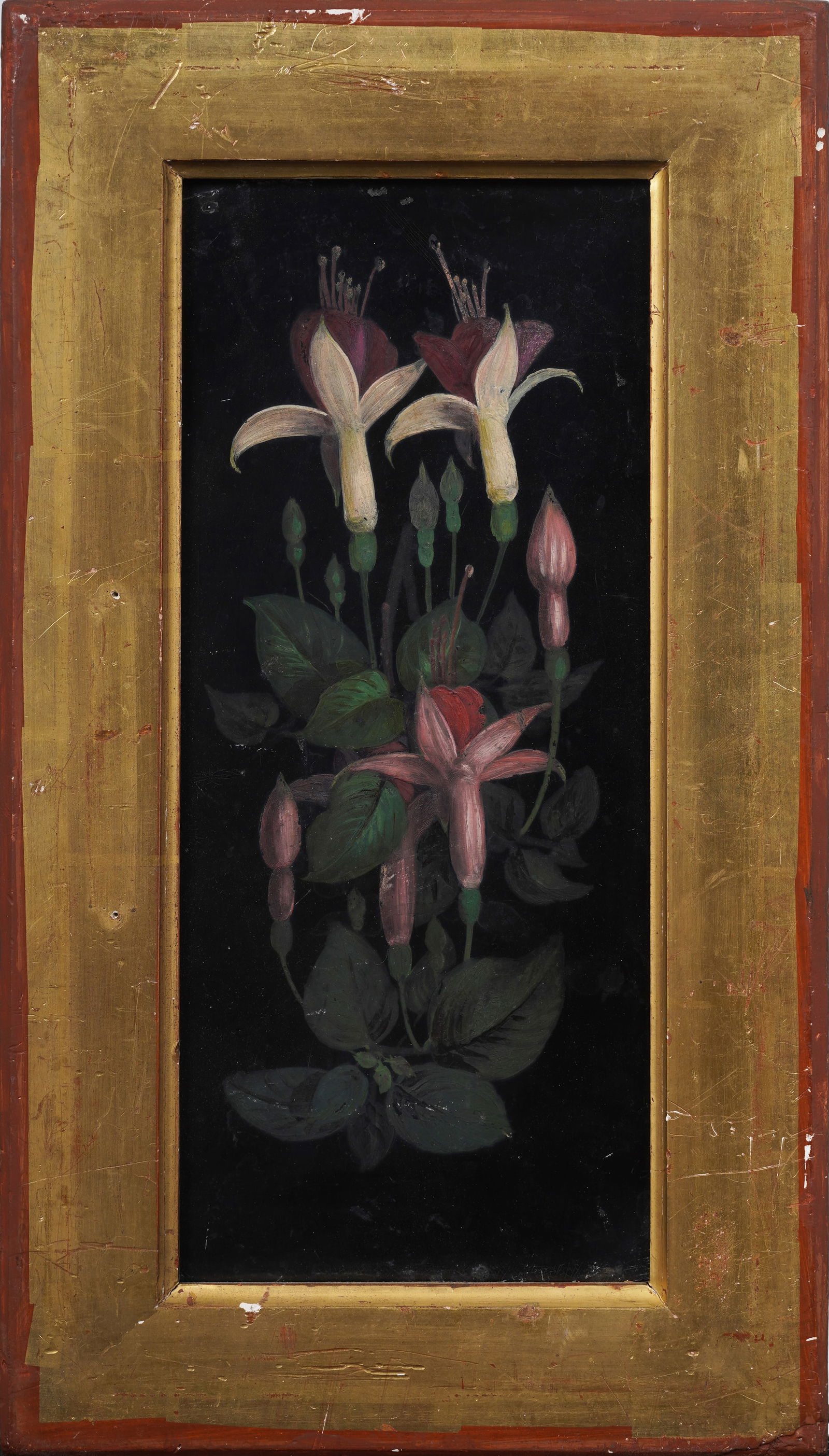 Antique European Hanging Fuchsia Flower Still Life Framed Oil Painting: Antique European still life oil painting on panel. Measuring: 13 by 8 inches overall, and 10 by 4 3/4 painting alone. Please see all images for condition. Size is measured and written on the back of t