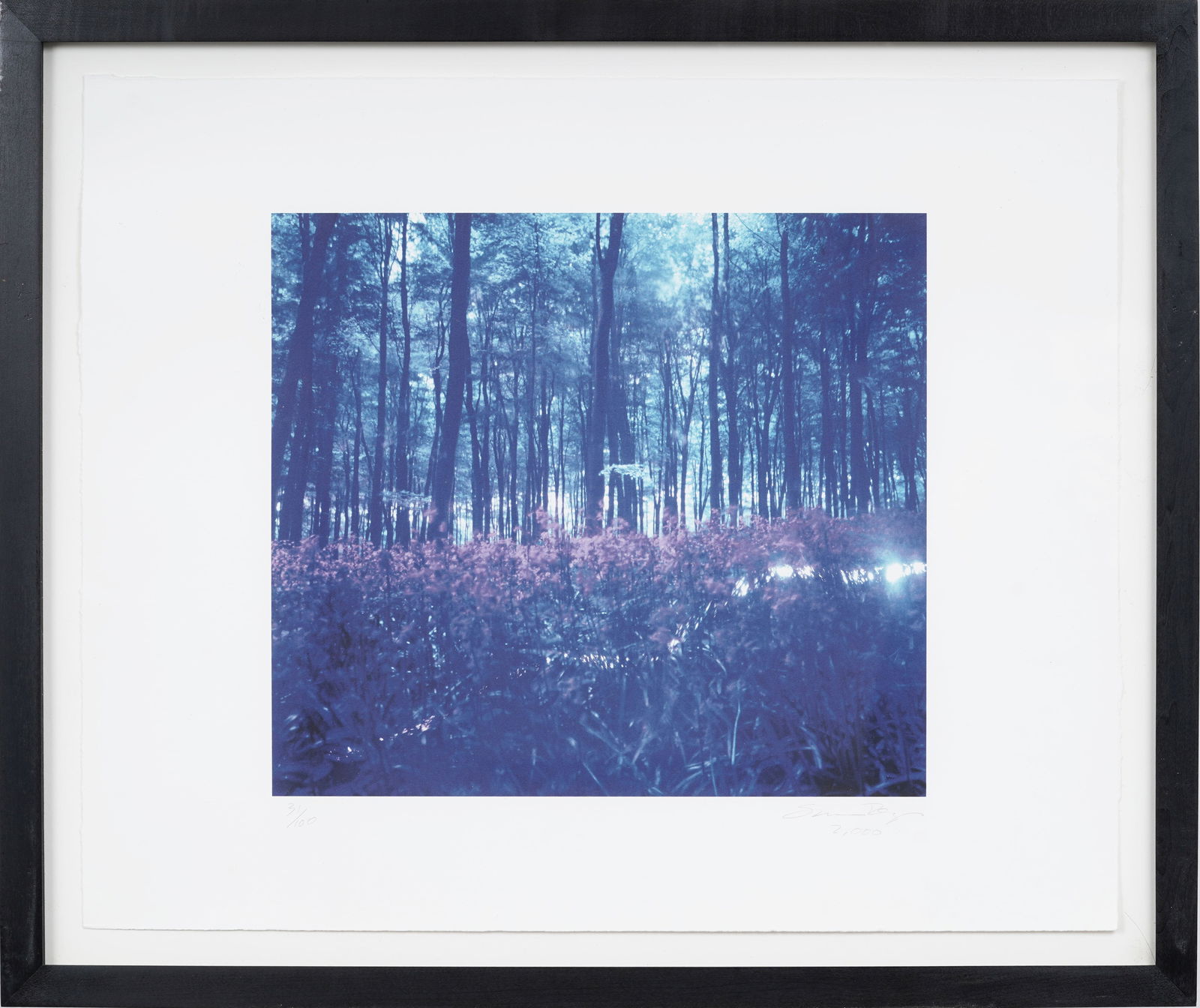 Susan Derges (b. 1955) Signed Vintage British Forest Photograph Print 31/100: Vintage British photography print. Signed and numbered. Labeled verso. Framed. Measuring: 22 by 27 inches overall, and 13 by 15 painting alone. Please see all images for condition. Size is measured an