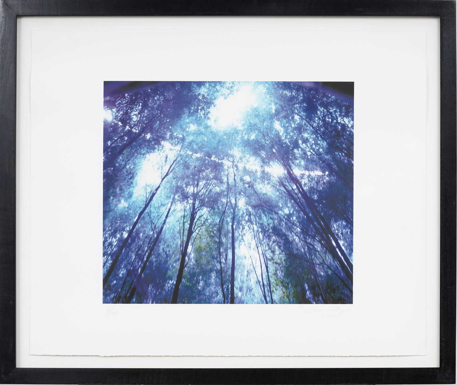 Susan Derges (b. 1955) Signed Vintage British Forest Canopy Photograph Print 31/100: Vintage British photography print. Signed and numbered. Labeled verso. Framed. Measuring: 22 by 27 inches overall, and 13 by 15 painting alone. Please see all images for condition. Size is measured an