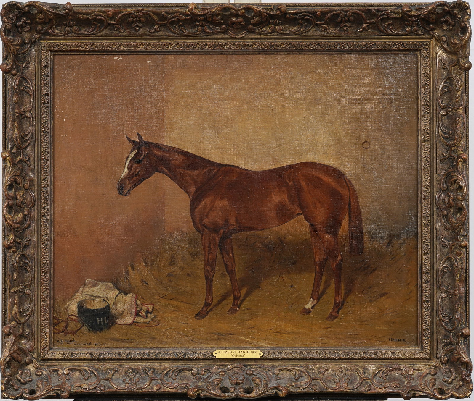 Alfred Grenfell Haigh (1870-1963) Large Framed Signed Equestrian Horse Portrait Oil Painting: Antique English horse portrait oil painting by Alfred Grenfell Haigh (1870-1963). Oil on canvas. Framed nicely. Measuring: 23 by 27 inches overall, and 17 by 21 artwork alone.? Please see all images f