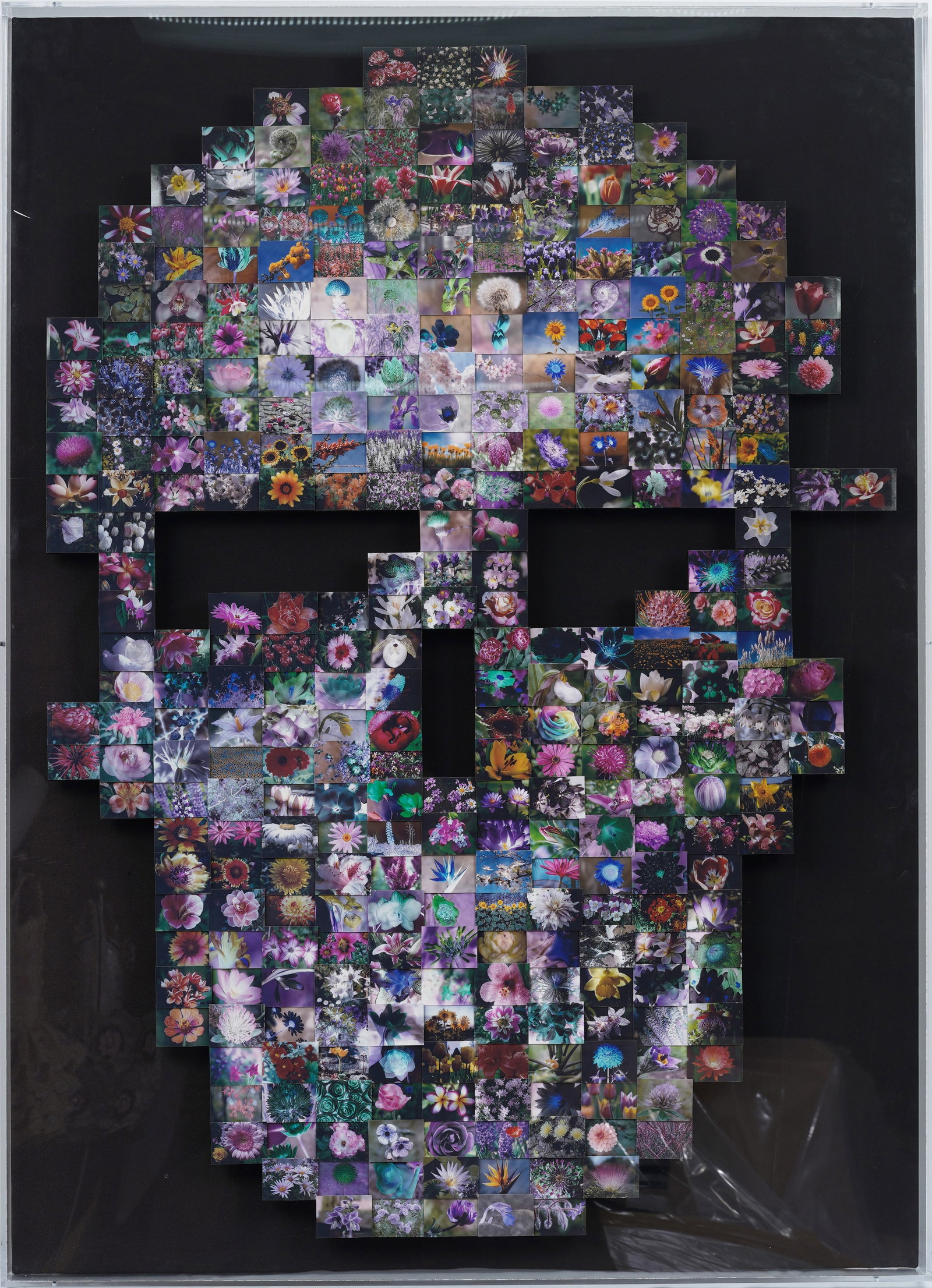Cameron Gray Signed Contemporary American Pop Art "Flower Skull" Framed: Contemporary American mixed media skull portrait. Framed. Signed verso. Measuring: 37 by 50 inches overall. Please see all images for condition. Size is measured and written on the back of the paintin