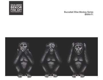 A Giuliano Bekor Fine Art Photography, Buccellati Wise Monkey BWM-F1