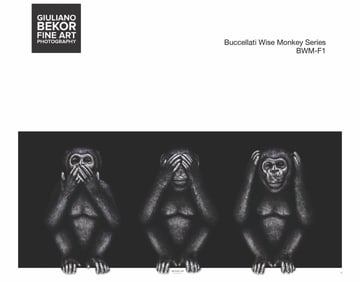 A Giuliano Bekor Fine Art Photography, Buccellati Wise Monkey BWM-F1