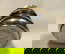 item-210078614=7
