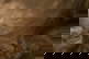 item-210078870=2