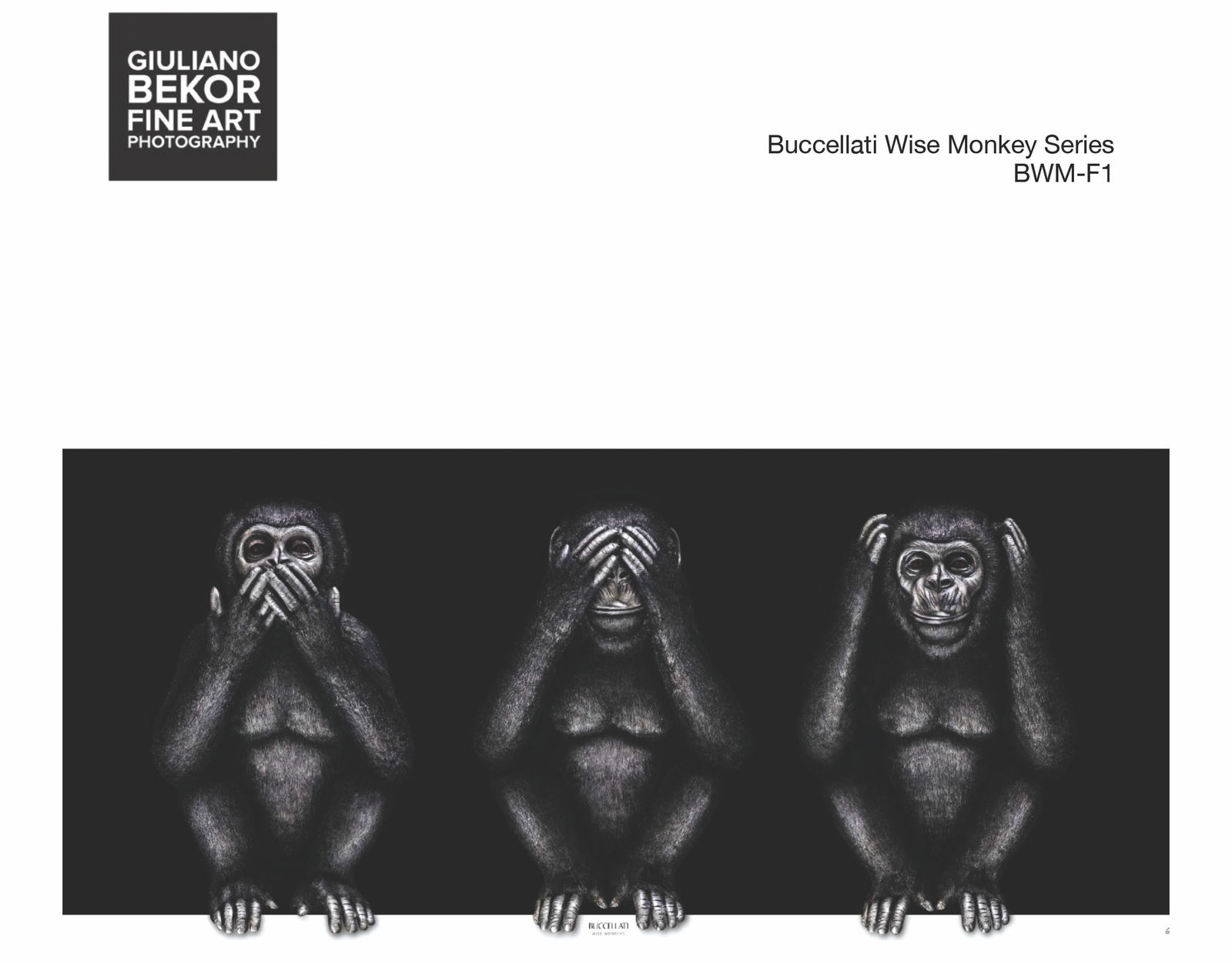 A Giuliano Bekor Fine Art Photography, Buccellati Wise Monkey BWM-F1: Title of artwork: Buccellati Wise Monkey BWM-F1, Year 2021, Print size 22x48 Inches Trim bleed, Artwork finished size 23x49 Inches, Limited edition 1 of 4, Artist proof 2, Medium This artwork printed