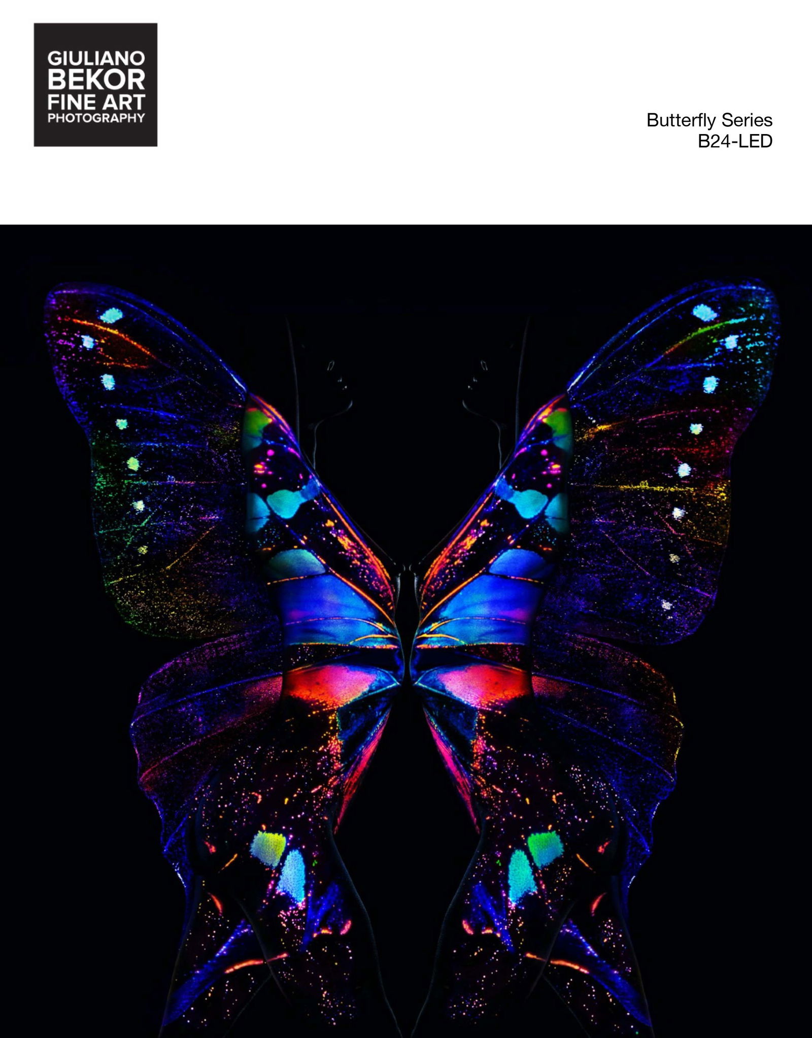 A Giuliano Bekor Fine Art Photography, Butterfly B24 LED Transparent Print: Title of artwork: Butterfly B24 LED Transparent Print, Year 2018, Print size 40x40 Inches, Artwork finished size 42x42 Inches, Limited edition 2 of 10, Artist proof 2, Medium This artwork printed on t