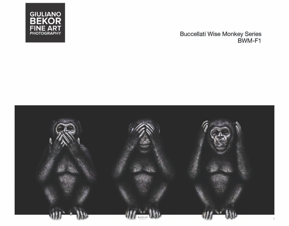A Giuliano Bekor Fine Art Photography, Buccellati Wise Monkey BWM-F1: Title of artwork: Buccellati Wise Monkey BWM-F1, Year 2021, Print size 22x48 Inches Trim bleed, Artwork finished size 23x49 Inches, Limited edition 1 of 4, Artist proof 2, Medium This artwork printed 