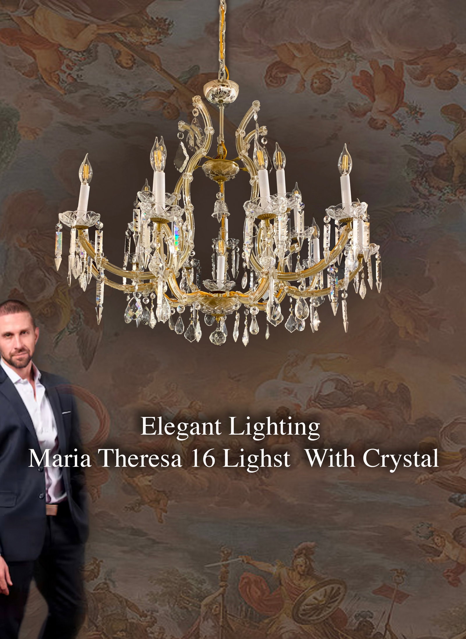 An Elegant Maria Theresa Crystal Lighting, 16 Lights (1 of 1)