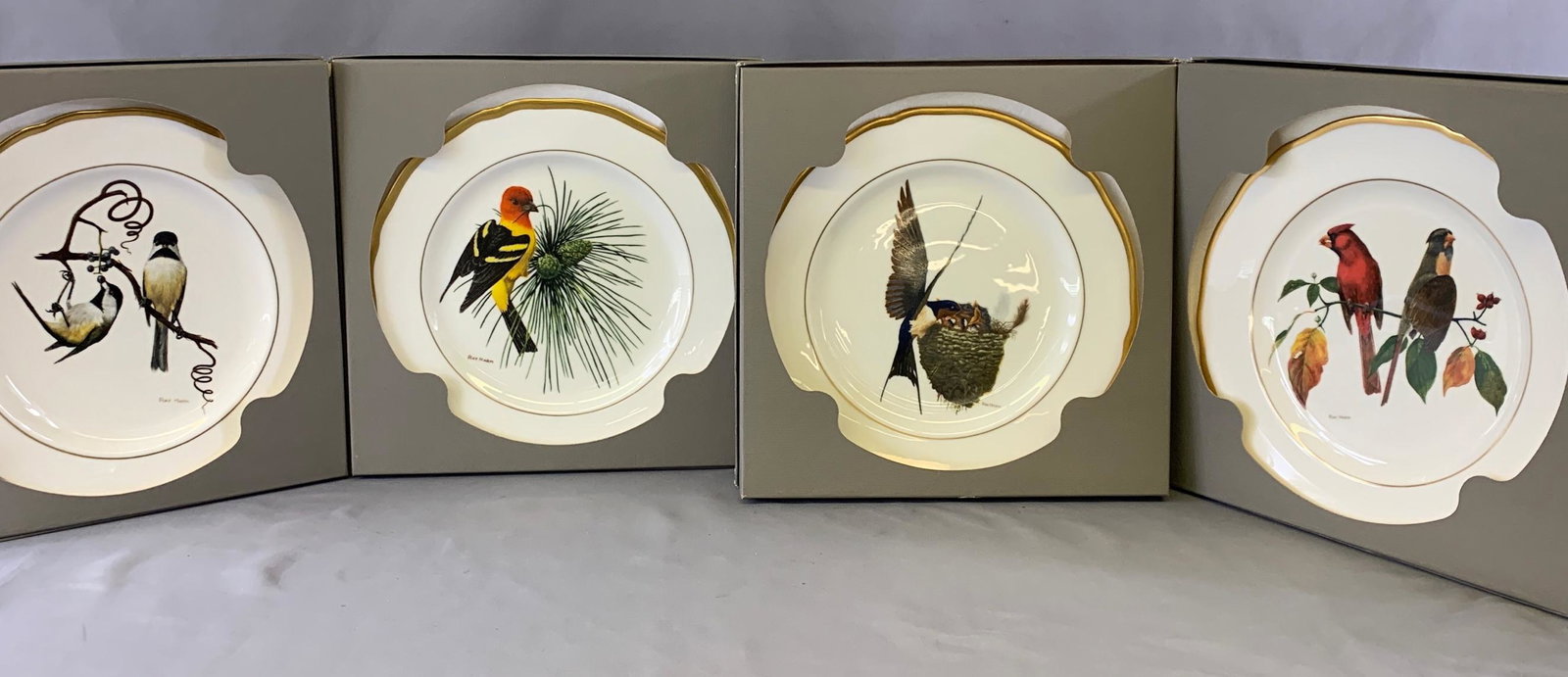 Four Ray Harm for Spode Collector Plates: Birds: Four Ray Harm for Spode Collector Plates: Birds