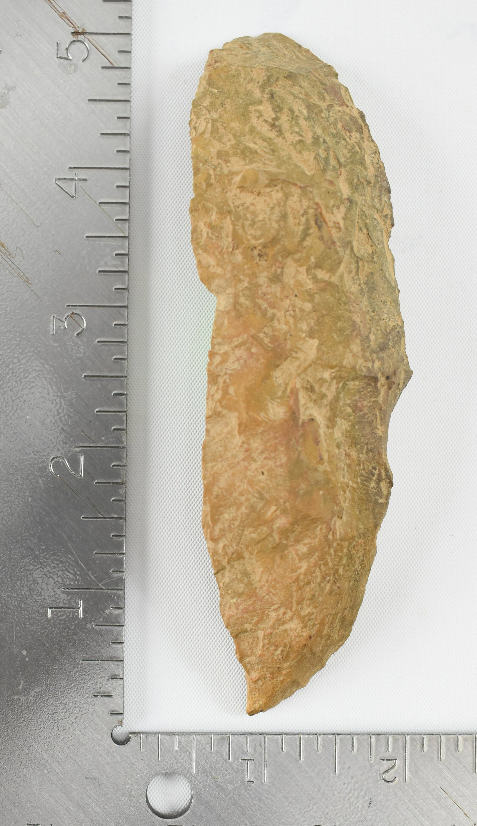 Northern Kentucky Native American Indian Projectile Point Stone Artifact: Discovered in the Owensboro, KY area.