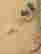 item-128091818=5