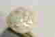item-128091908=2